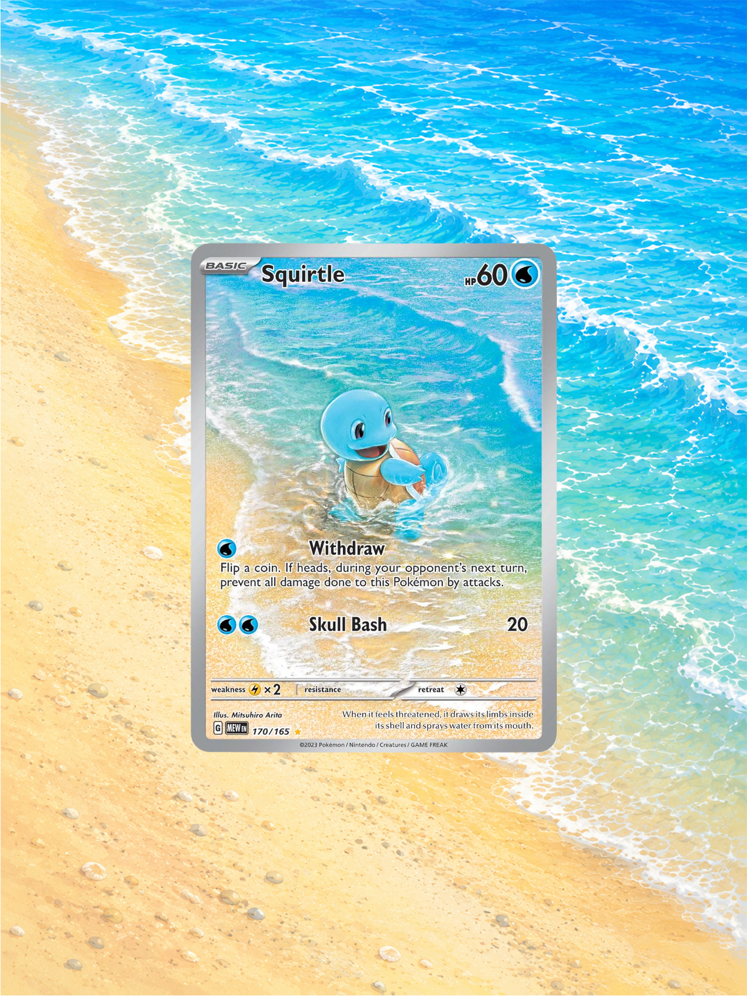 Squirtle Extended Art Display